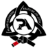 Logo Pedro Alexandre Jiu-Jitsu academia brasileira